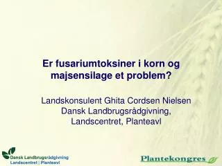 er fusariumtoksiner i korn og majsensilage et problem