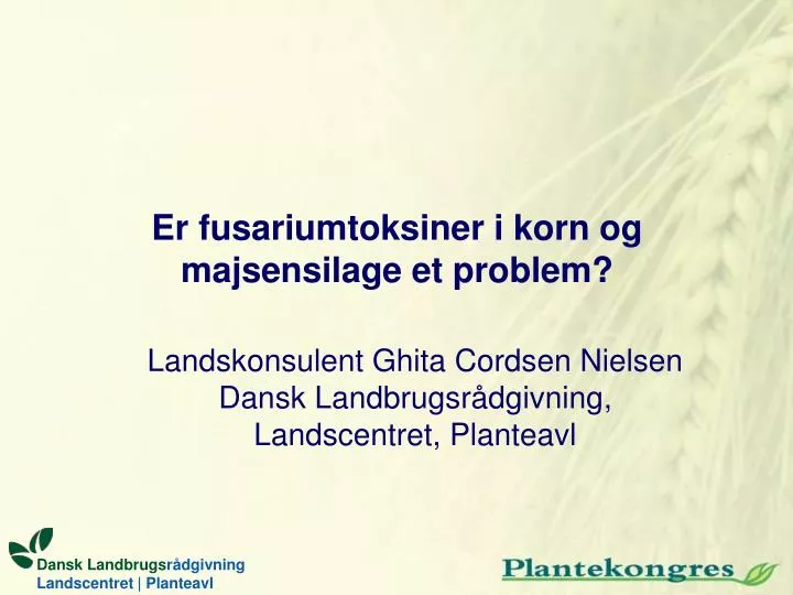 er fusariumtoksiner i korn og majsensilage et problem