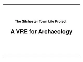 The Silchester Town Life Project