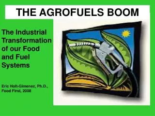 THE AGROFUELS BOOM