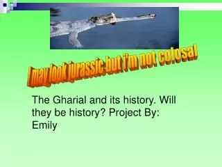 The Gharial and its history. Will they be history? Project By: Emily