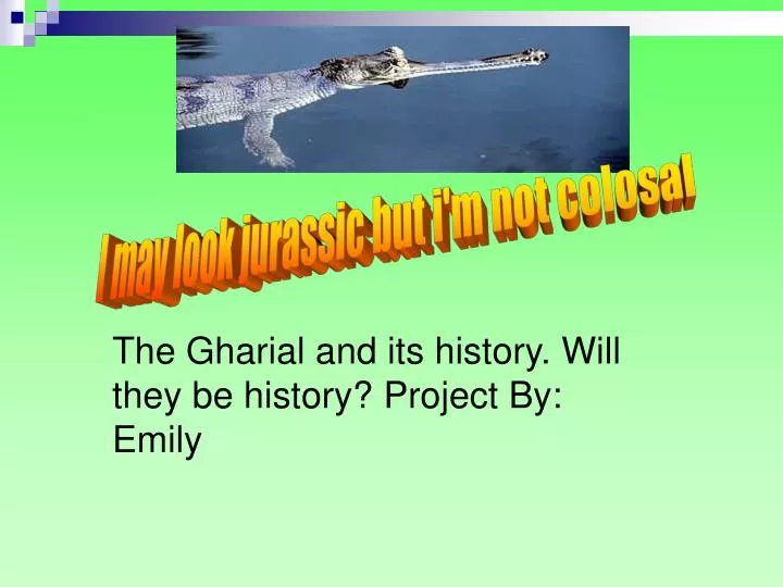 the gharial and its history will they be history project by emily