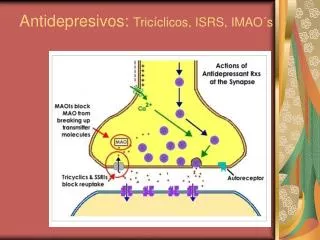 Antidepresivos: Tricíclicos, ISRS, IMAO´s