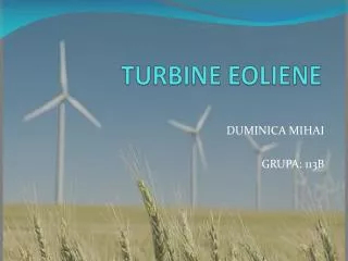 turbine eoliene