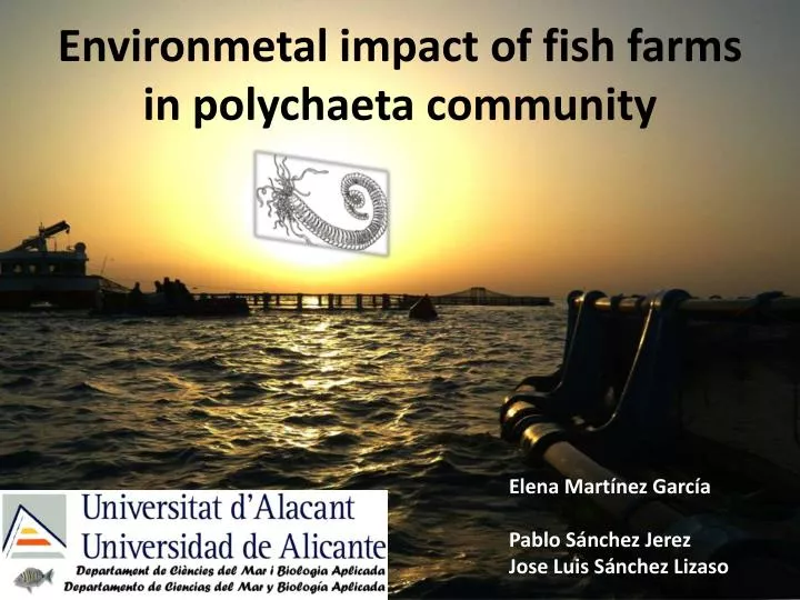 environmetal impact of fish farms in polychaeta community