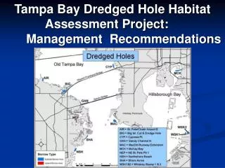 Tampa Bay Dredged Hole Habitat Assessment Project: 		Management Recommendations