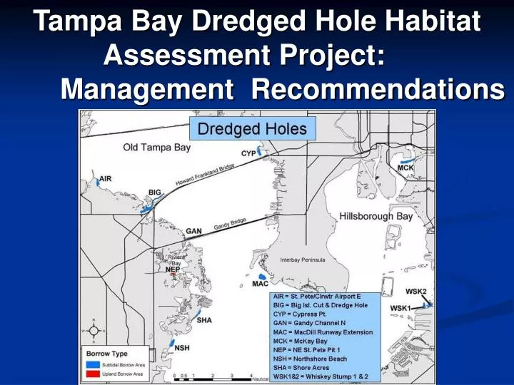 tampa bay dredged hole habitat assessment project management recommendations