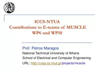 ICCS-NTUA Contributions to E-teams of MUSCLE WP6 and WP10