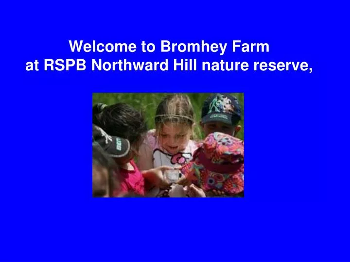 welcome to bromhey farm at rspb northward hill nature reserve