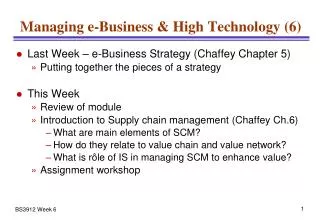 Managing e-Business &amp; High Technology (6)
