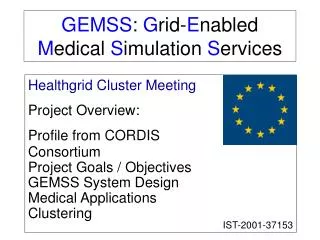 GEMSS : G rid- E nabled M edical S imulation S ervices