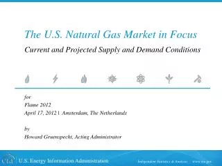 The U.S. Natural Gas Market in Focus