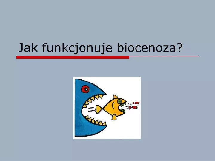 jak funkcjonuje biocenoza