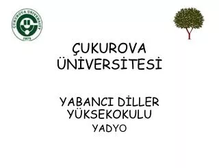 ukurova n vers tes