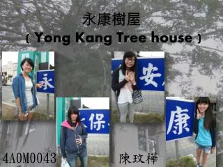 yong kang tree house