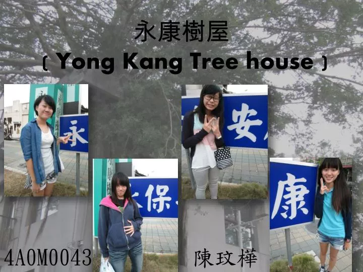 yong kang tree house