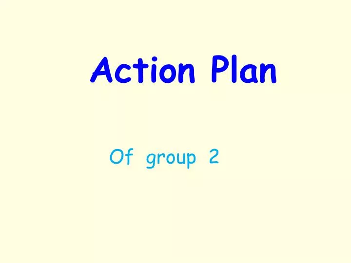 action plan