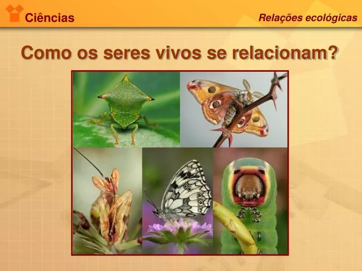 QUIZ DE CIÊNCIAS - RELAÇÕES ECOLÓGICAS