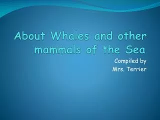 About Whales and other mammals of the Sea