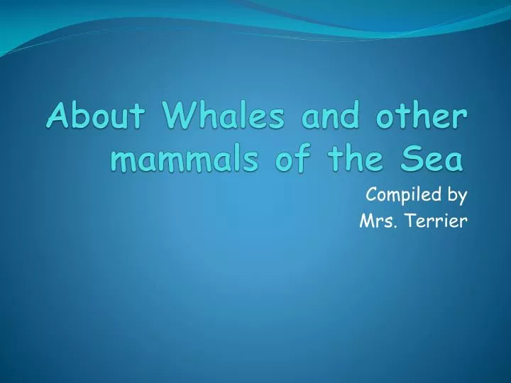 about whales and other mammals of the sea