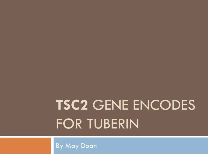 tsc2 gene encodes for tuberin