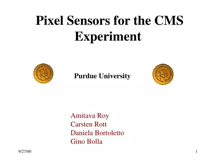 pixel sensors for the cms experiment