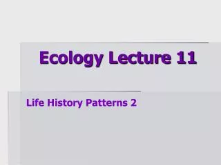Ecology Lecture 11