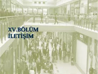 xv b l m let m