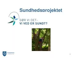 sundhedsprojektet