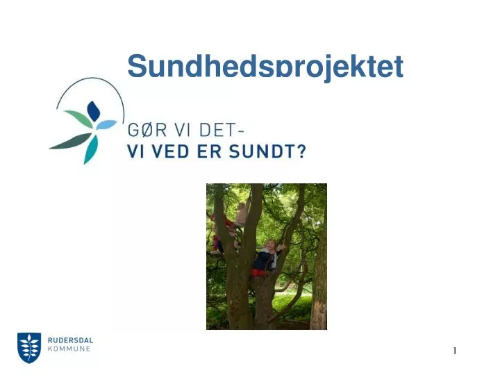 sundhedsprojektet