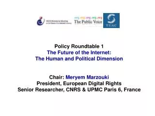 Policy Roundtable 1 The Future of the Internet: The Human and Political Dimension