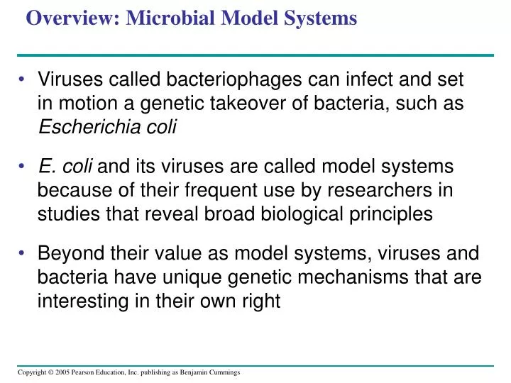 overview microbial model systems