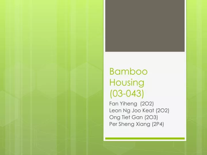 bamboo housing 03 043