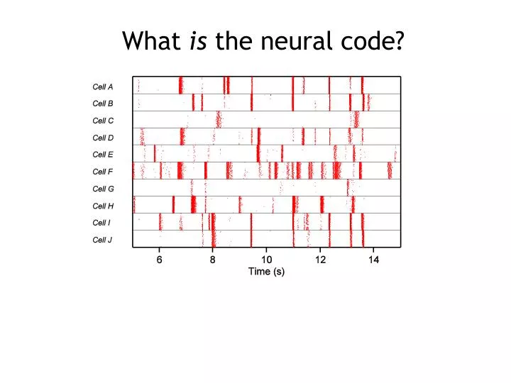 what is the neural code