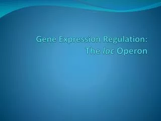 Gene Expression Regulation: The lac Operon