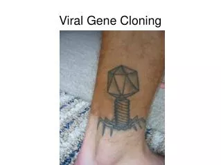 Viral Gene Cloning