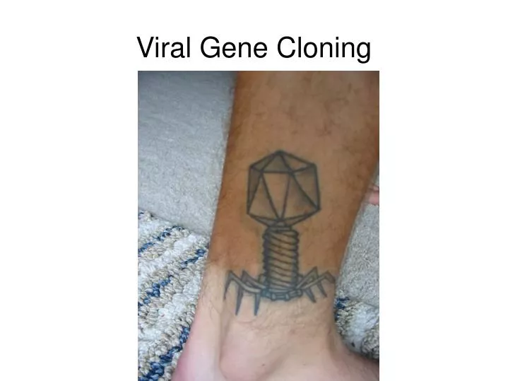 viral gene cloning