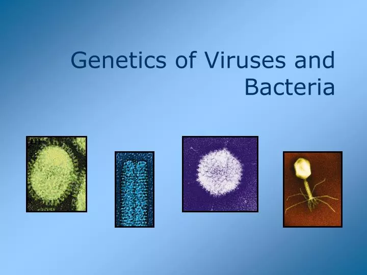 genetics of viruses and bacteria