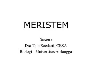 meristem