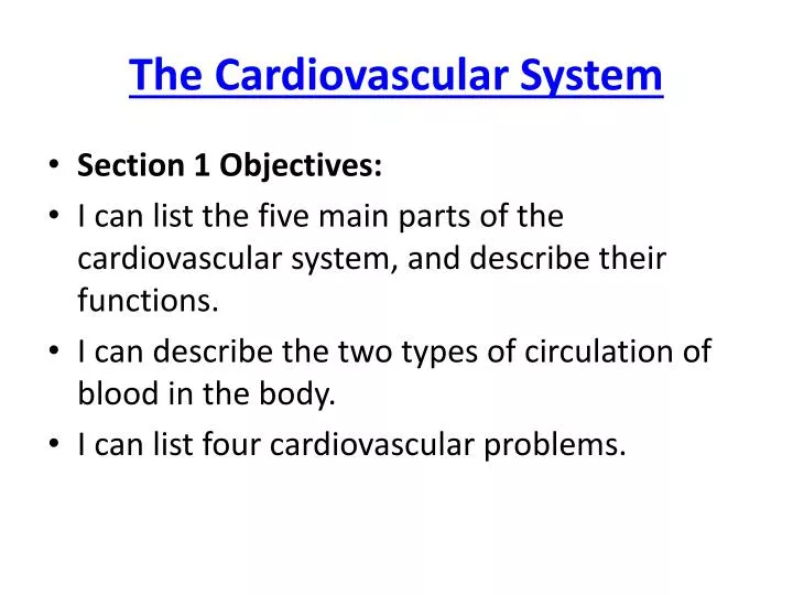 the cardiovascular system