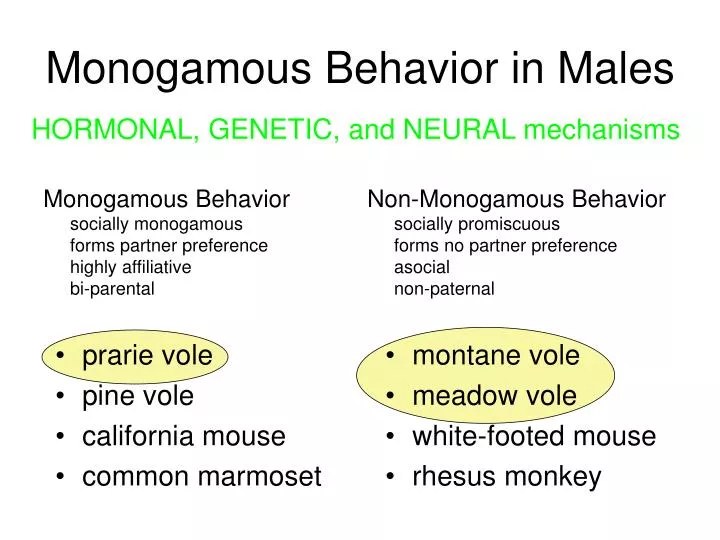 monogamous behavior in males