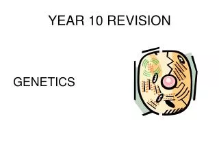 YEAR 10 REVISION