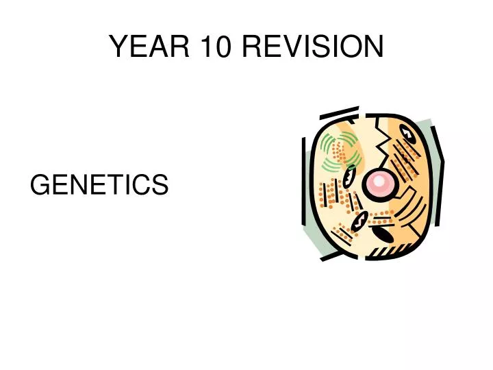 year 10 revision