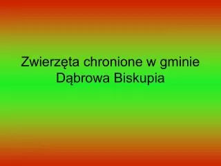 zwierz ta chronione w gminie d browa biskupia