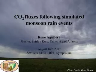 CO 2 fluxes following simulated monsoon rain events