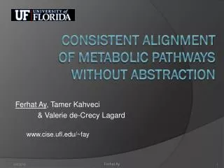Consistent alignment of metabolic pathways without abstraction