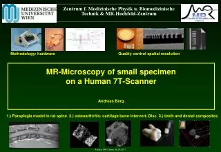 MR- Microscopy of small specimen on a Human 7T-Scanner Andreas Berg
