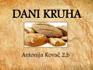 dani kruha