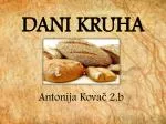 DANI KRUHA - slide 1