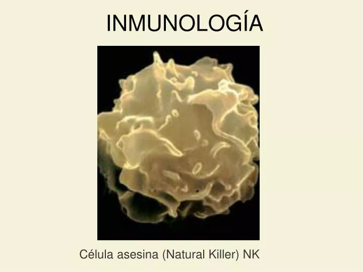 inmunolog a